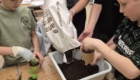 Science Kids (3)